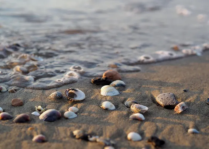 Newly Renovated Modern Two Apartman